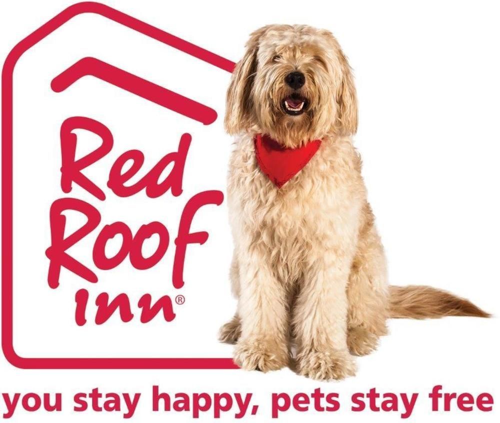 Red Roof Inn Plus+ San Antonio Downtown - Riverwalk Ngoại thất bức ảnh