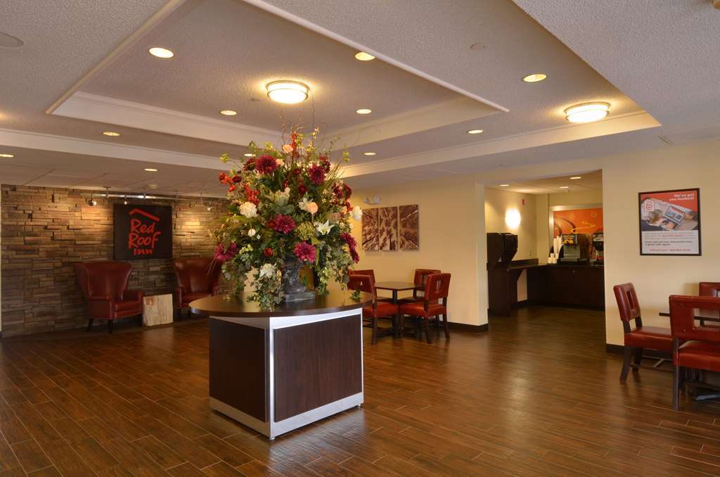 Red Roof Inn Plus+ San Antonio Downtown - Riverwalk Nội địa bức ảnh