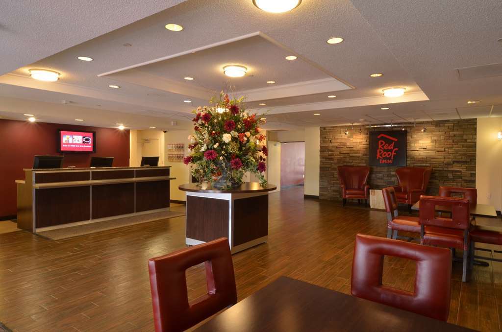 Red Roof Inn Plus+ San Antonio Downtown - Riverwalk Nội địa bức ảnh